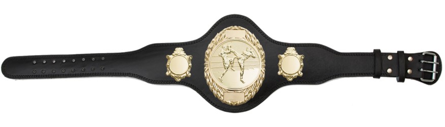 THAI BOXING TITLE BELT - PLT286/G/TBOG-4 COLOURS